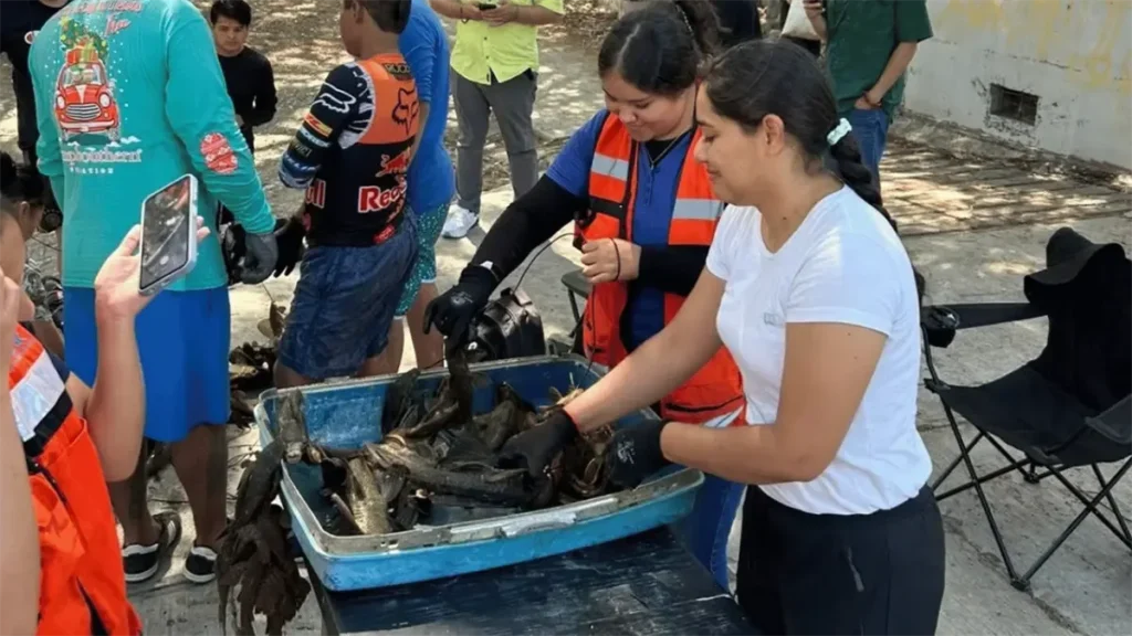 Éxito en jornada de pesca de Pez Diablo en Río la Silla | Diario Monterrey Online Éxito en jornada de pesca de Pez Diablo en Río la Silla | Diario Monterrey Online