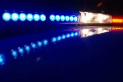Asesinato de pepenador en San Nicolás de los Garza detalles del caso | Diario Monterrey Online