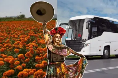 Día de Muertos 2026 en Nuevo León: tour por jardín de cempasúchil | Diario Monterrey Online