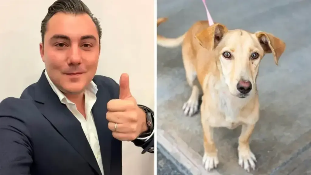 Gobierno de García convoca a feria de adopción de mascotas en Plaza Cumbres | Diario Monterrey Online Gobierno de García convoca a feria de adopción de mascotas en Plaza Cumbres | Diario Monterrey Online