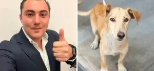 Gobierno de García convoca a feria de adopción de mascotas en Plaza Cumbres | Diario Monterrey Online