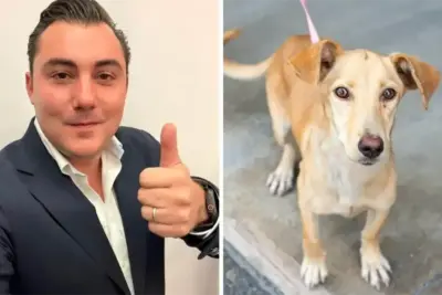 Gobierno de García convoca a feria de adopción de mascotas en Plaza Cumbres | Diario Monterrey Online Gobierno de García convoca a feria de adopción de mascotas en Plaza Cumbres | Diario Monterrey Online