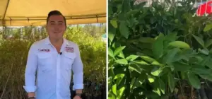 Gobierno de García presenta programa Adopta Vida para reforestación | Diario Monterrey Online