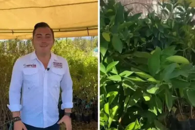 Gobierno de García presenta programa Adopta Vida para reforestación | Diario Monterrey Online